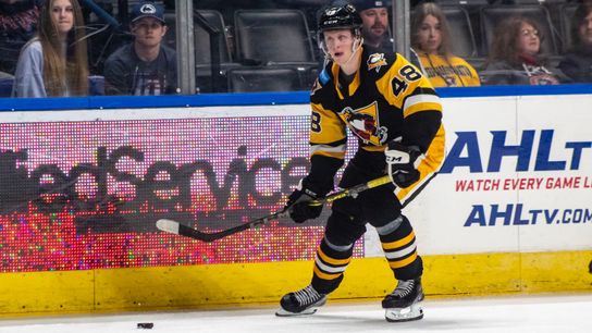 In the System: Nylander, Puustinen both hit 20-goal mark taken at PPG Paints Arena (Weekly Features)